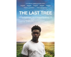 The Last Tree